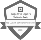 2020 custom software developers awards
