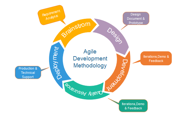 A successful software outsourcing depends on an effective software development lifecycle 